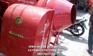 SewaMolen 11 winong